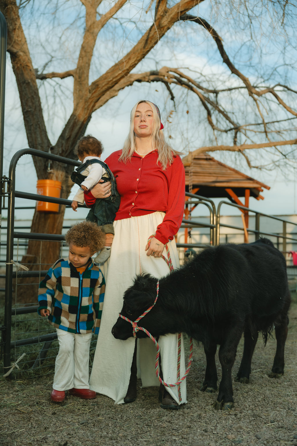 The Homestead Skirt